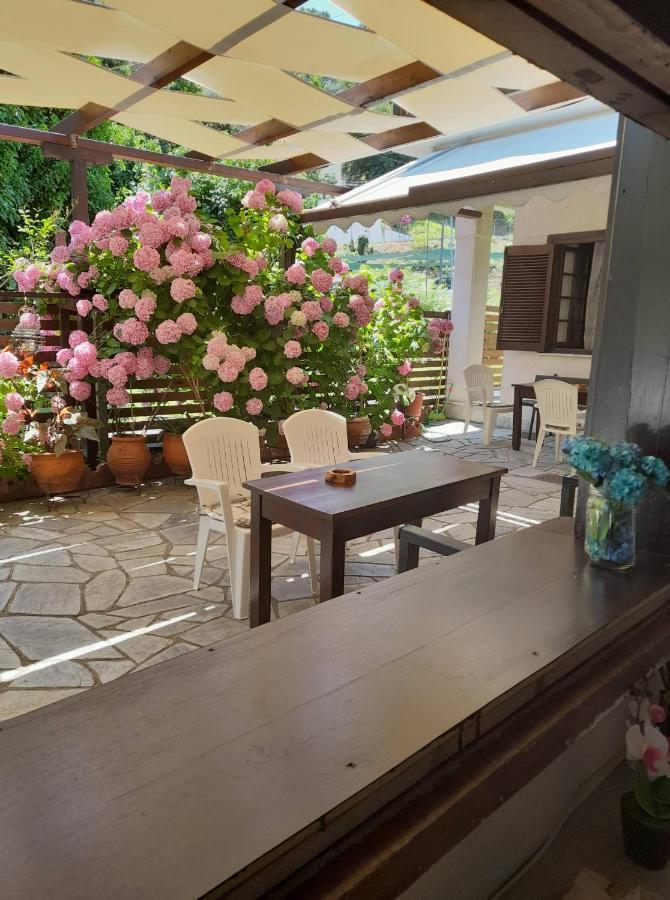 Eleni Studios Agios Ioannis  Exterior foto