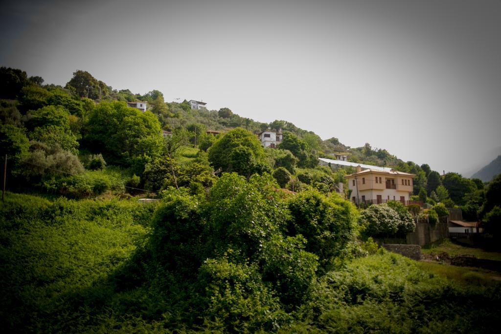 Eleni Studios Agios Ioannis  Exterior foto